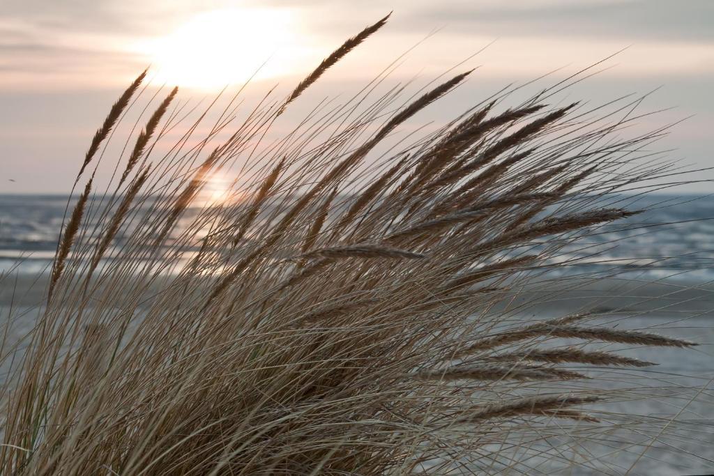 Cuxland-Ferienpark Nordseebad Dorum Дорум Экстерьер фото